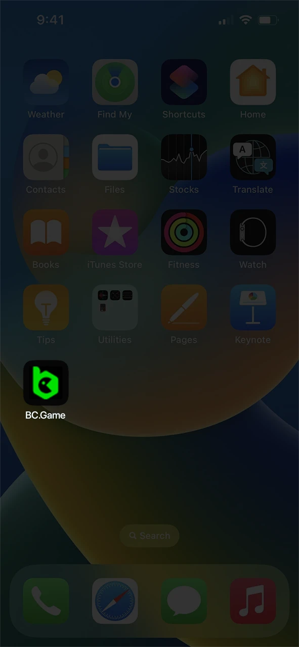 Add the BC.Game application icon to your home screen.