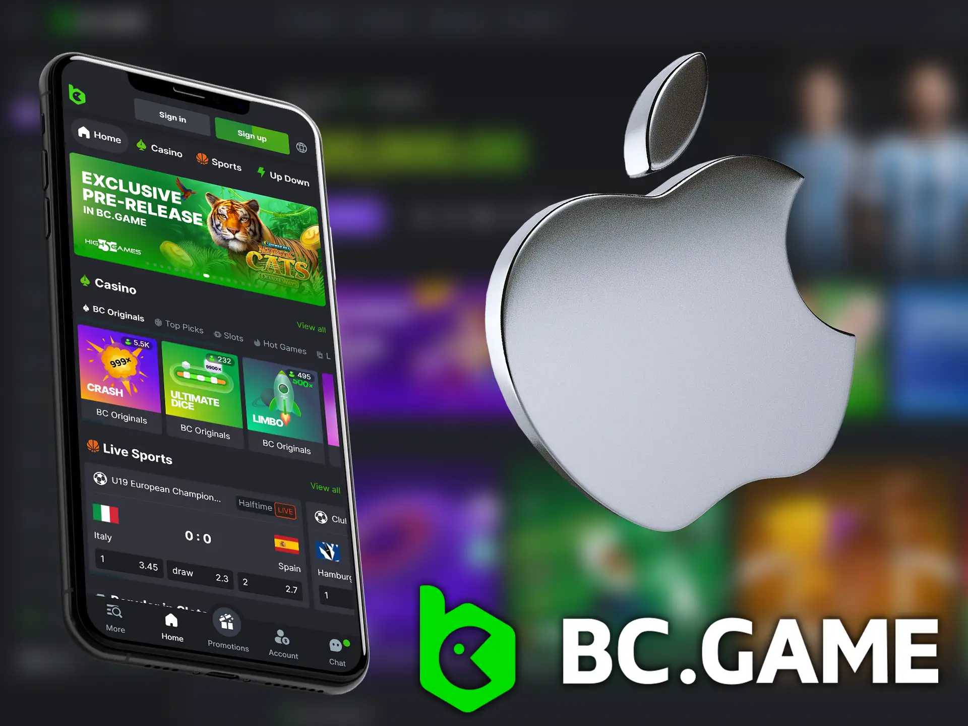 Use the BC.Game platform directly on your iOS device.