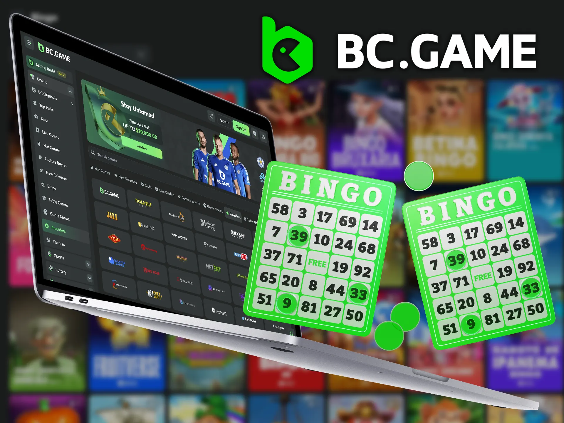 At BC Game you will see many licensed bingo game providers.