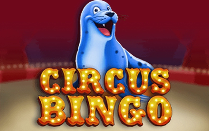 Immerse yourself in the magical atmosphere of the circus by playing the Circus Bingo game at BC Game casino.